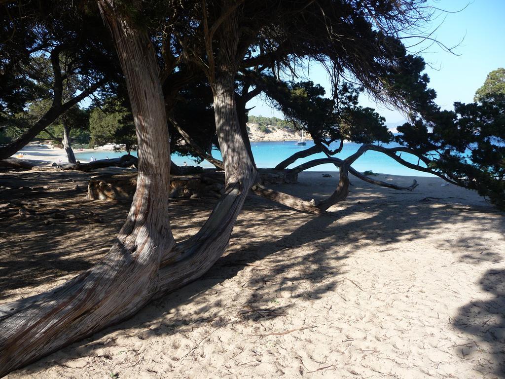 Yebisah Gasthof Santa Eulària des Riu